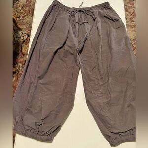 Barely worn Anthro parachute pants